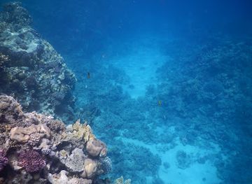 egypt/ras-muhammad-national-park/attraction/mersy-brika