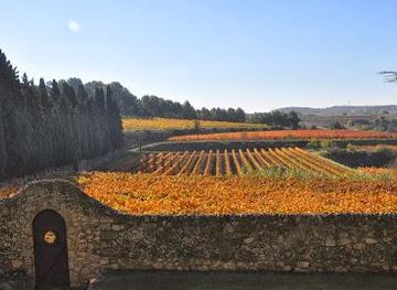 spain/barcelona/attraction/albet-i-noya-vins-ecologics-del-penedes-visita-el-celler-i-winebar