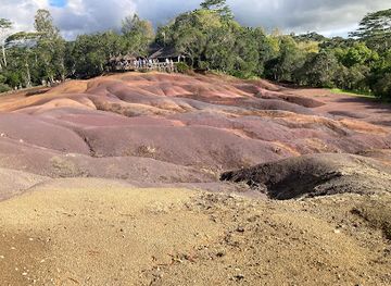 mauritius/bel-ombre/attraction/chamarel-coffee-plantation