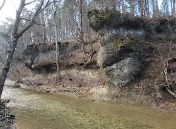 ohio/southwest-ohio/attraction/davis-memorial-state-nature-preserve