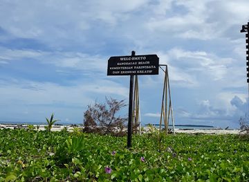 indonesia/pulau-derawan/attraction/pulau-gusung-sanggalau