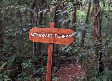 india/kozhikode/attraction/miyavaki-forest