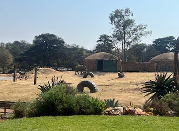south-africa/highveld/attraction/elephant-enclosure-johannesburg-zoo