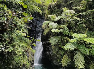 french-polynesia/windward-islands/attraction/vallee-paraura