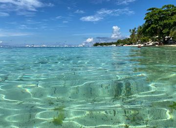 philippines/panglao-island/attraction/ging-ging-travel-and-tours