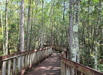 florida/southeast-florida/attraction/tibet-butler-nature-preserve