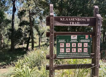 south-africa/cape-town/constantia/attraction/secret-forest