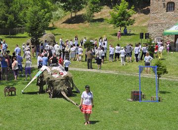 romania/ramnicu-valcea/attraction/muzeul-satului-valcean