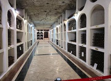 moldova/chisinau/attraction/cricova-vinery
