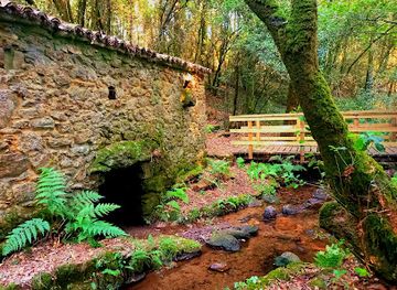 spain/galicia/attraction/area-de-interpretacion-dos-muinos