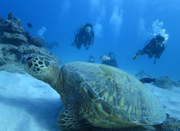 cabo-verde/santa-maria/attraction/santa-maria-dive-center