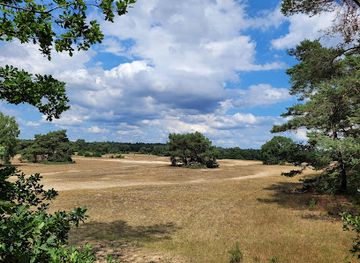 netherlands/hoge-veluwe-national-park/attraction/de-big-5-van-otterlo