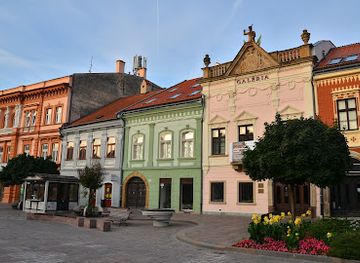 slovakia/presov-region/attraction/saris-gallery-in-presov