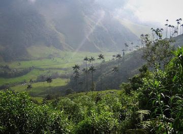 colombia/los-nevados-national-natural-park/attraction/ecoturistico-la-plata-park