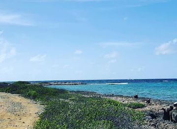 curacao/jan-thiel-beach/attraction/lagun-blanku