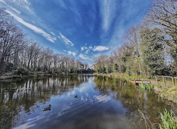 united-kingdom/flintshire/attraction/wepre-park