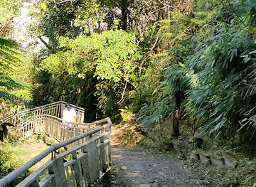 malaysia/pahang/attraction/forest-walk