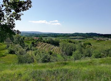 italy/friuli-venezia-giulia/attraction/bosco-plessiva-plesivski-gozd