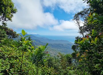 australia/cape-tribulation/attraction/mount-sorrow-trail