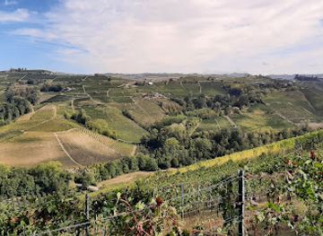 italy/langhe/attraction/panchina-gigante-254-castiglione-falletto