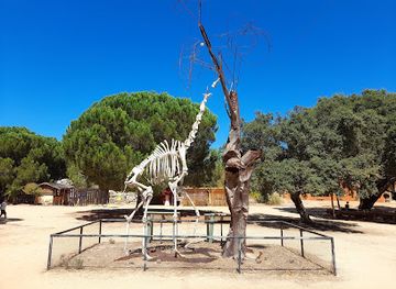 portugal/alentejo/attraction/badoca-safari-park