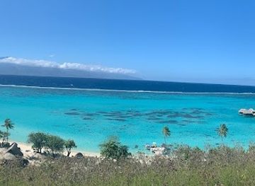 french-polynesia/windward-islands/attraction/safari-mario-moorea