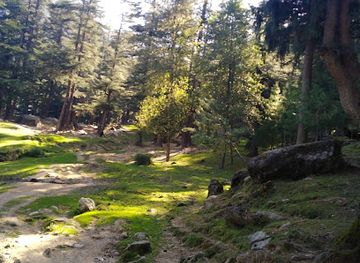 india/himachal-pradesh/attraction/sajla-manali