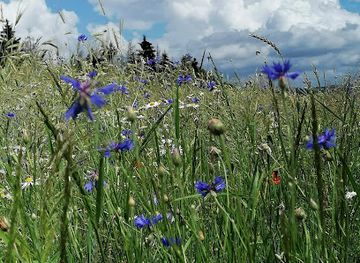 luxembourg/eislek/attraction/wanderweg-kiischpelt-ki3