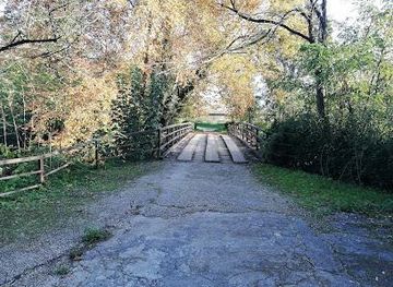 portugal/coimbra/attraction/choupal-national-forest