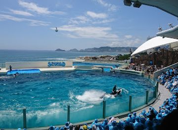 japan/mikawa/attraction/kamogawa-sea-world