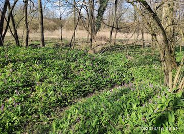 hungary/zalaegerszeg/attraction/maria-kut-csurgo-forras-zalaegerszeg-csacsbozsok