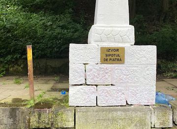 romania/vrancea/attraction/izvor-poiana-sarata