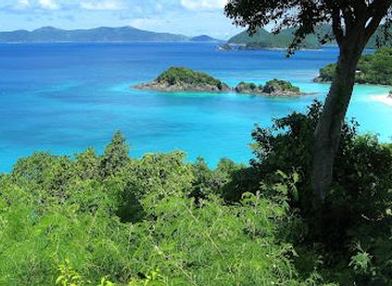 british-virgin-islands/jost-van-dyke/attraction/cinnamon-bay-plantation-ruins