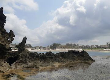 kenya/watamu/attraction/watamu-fossil-reef