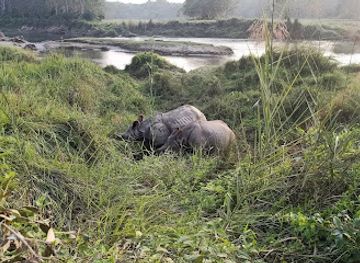 nepal/chitwan/attraction/mowgli-s-eco-adventure-tour