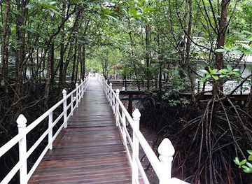 thailand/cardamom-mountains/attraction/peam-krasaop-wildlife-sanctuary