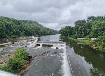 india/kochi/attraction/thumboormuzhy-dam