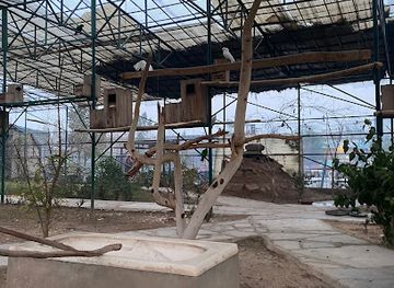 pakistan/peshawar/attraction/birds-section-peshawar-zoo