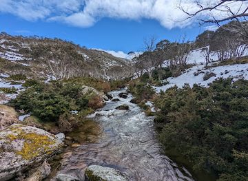 australia/kosciuszko-national-park/attraction/dead-horse-gap-walking-track
