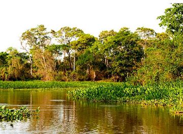 brazil/pantanal/attraction/the-pantanal-of-rio-negro-state-park