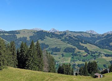 switzerland/gstaad/attraction/feuerstelle-horneggli