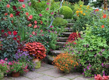 ireland/county-wicklow/attraction/patthana-garden