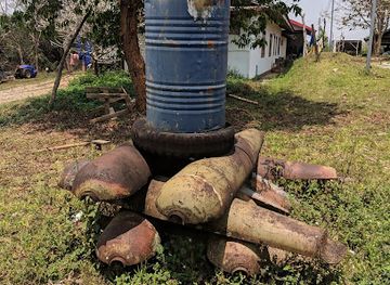 laos/xieng-khouang-plateau/attraction/mulberries