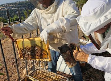 lebanon/koura/attraction/danysbees