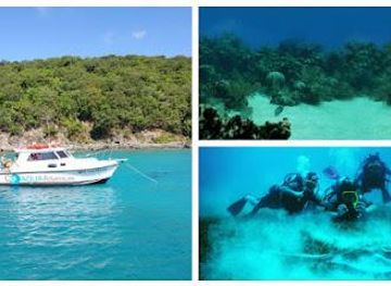 puerto-rico/manati/attraction/aqua-adventures-pr