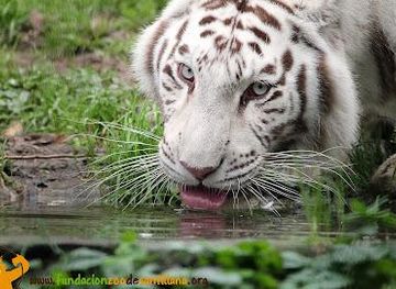 spain/cantabria/attraction/santillana-zoo