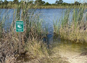 florida/sarasota-beaches/attraction/scherer-thaxton-preserve