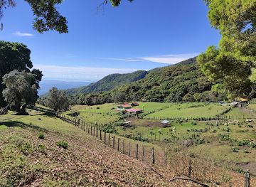 panama/chiriqui-highlands/attraction/finca-el-oasis