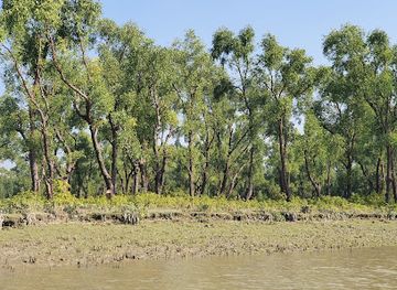 bangladesh/sundarbans/attraction/nijhum-dwip-beach