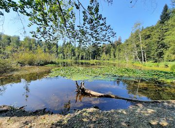 switzerland/aargau/attraction/erdmannlistein